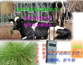 飼料水分儀 提升農(nóng)林牧漁飼料質(zhì)量管理的關鍵工具
